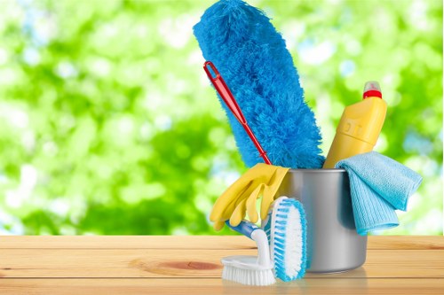 Living room house cleaning with organized surfaces
