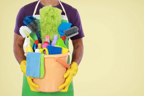 Oven cleaning tools and a spotless kitchen oven