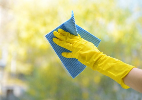 Professional sofa cleaning in a bright living room