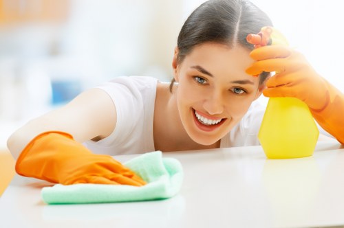 Sanitized kitchen surfaces maintained through regular cleaning