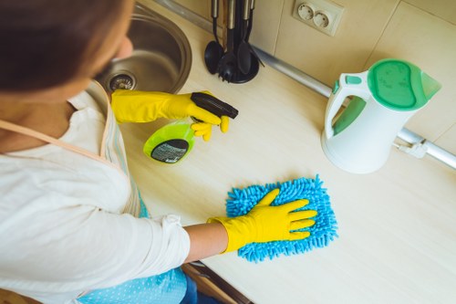 Detailed tenancy cleaning in a bathroom