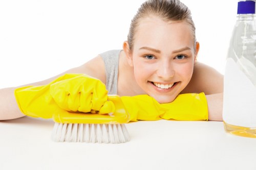 Bathroom house cleaning and disinfecting supplies