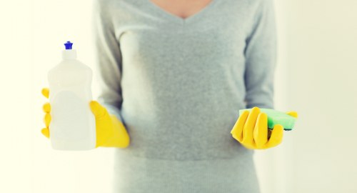 Professional rug cleaning in a bright living room