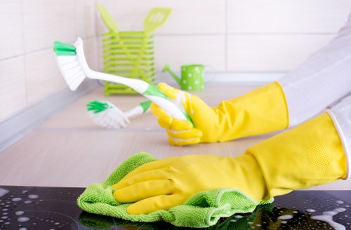 Inspecting a rug for stains and wear before cleaning