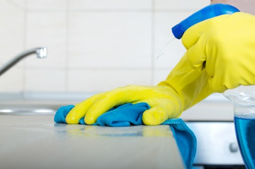 Deep cleaning service for rental property inspection