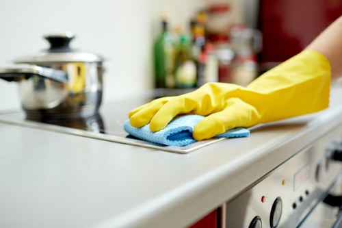Cleaning supplies used for a full deep cleaning session