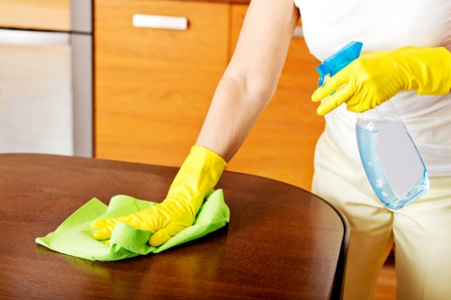 Close-up of grease and residue removal during oven cleaning